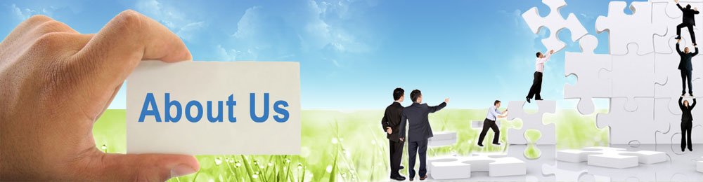 About WealthcoinFX.net